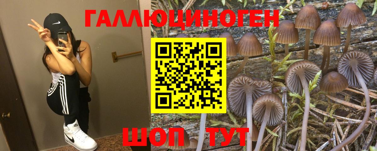 Псилоцибиновые грибы ЛСД Севастополь