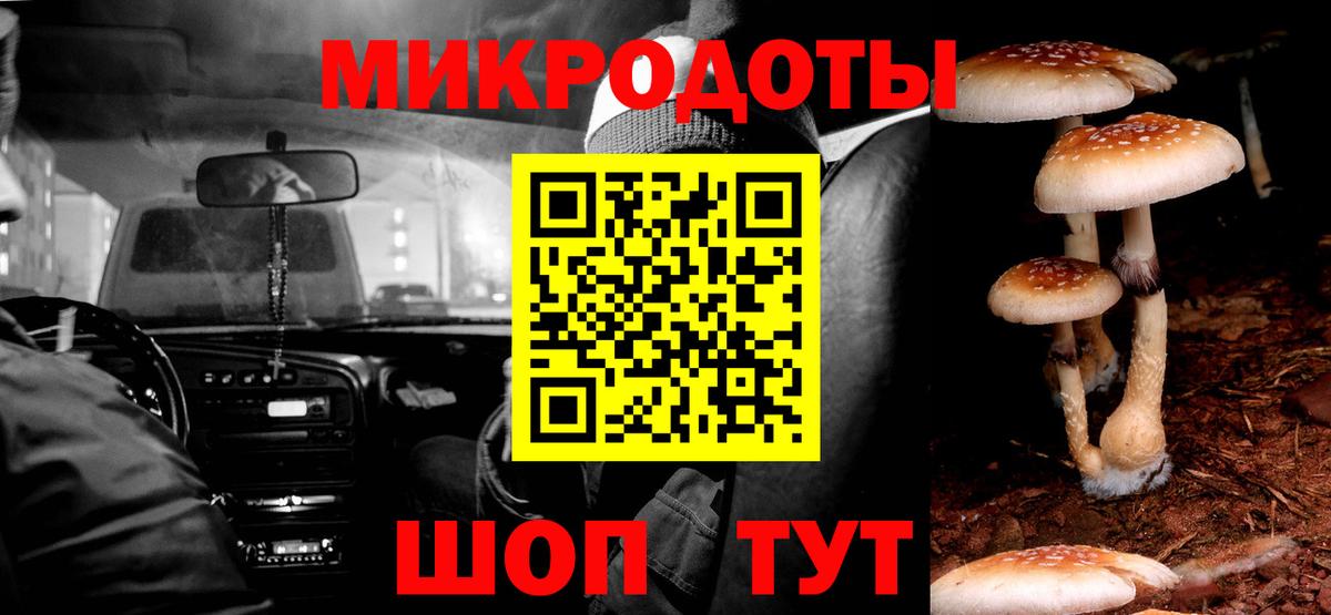 Галлюциногенные грибы Psilocybe  Вход с VPN  Севастополь 